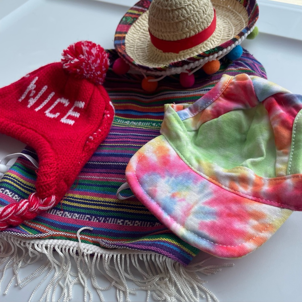 Dog Hats & Costumes for Small Dog Holiday Party Pups Poncho Naughty Nice